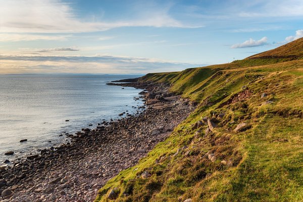 Ellen Bijoux : Un joyau d'excellence à votre portée