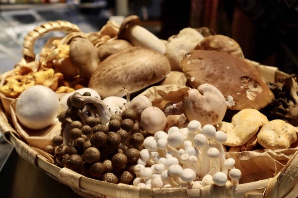 Comment bien choisir ses bijoux?