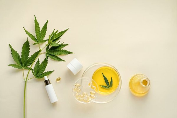 Comment comparer les sites spécialisés en produits naturels : quels sont les accompagnements que vous pourrez avoir ?